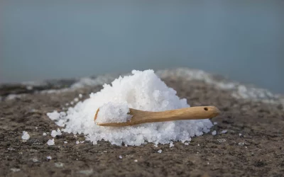 Pourquoi le sel bio est une évidence chez Tradysel