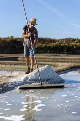 sel marin de Guérande