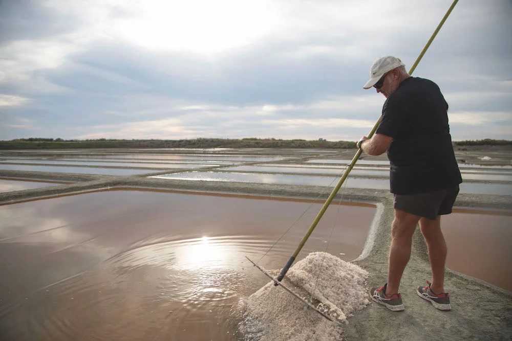 Le fonctionnement des marais salants de Guérande