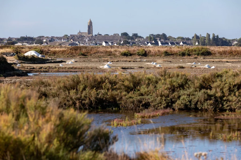 The history of the Guérande salt marshes