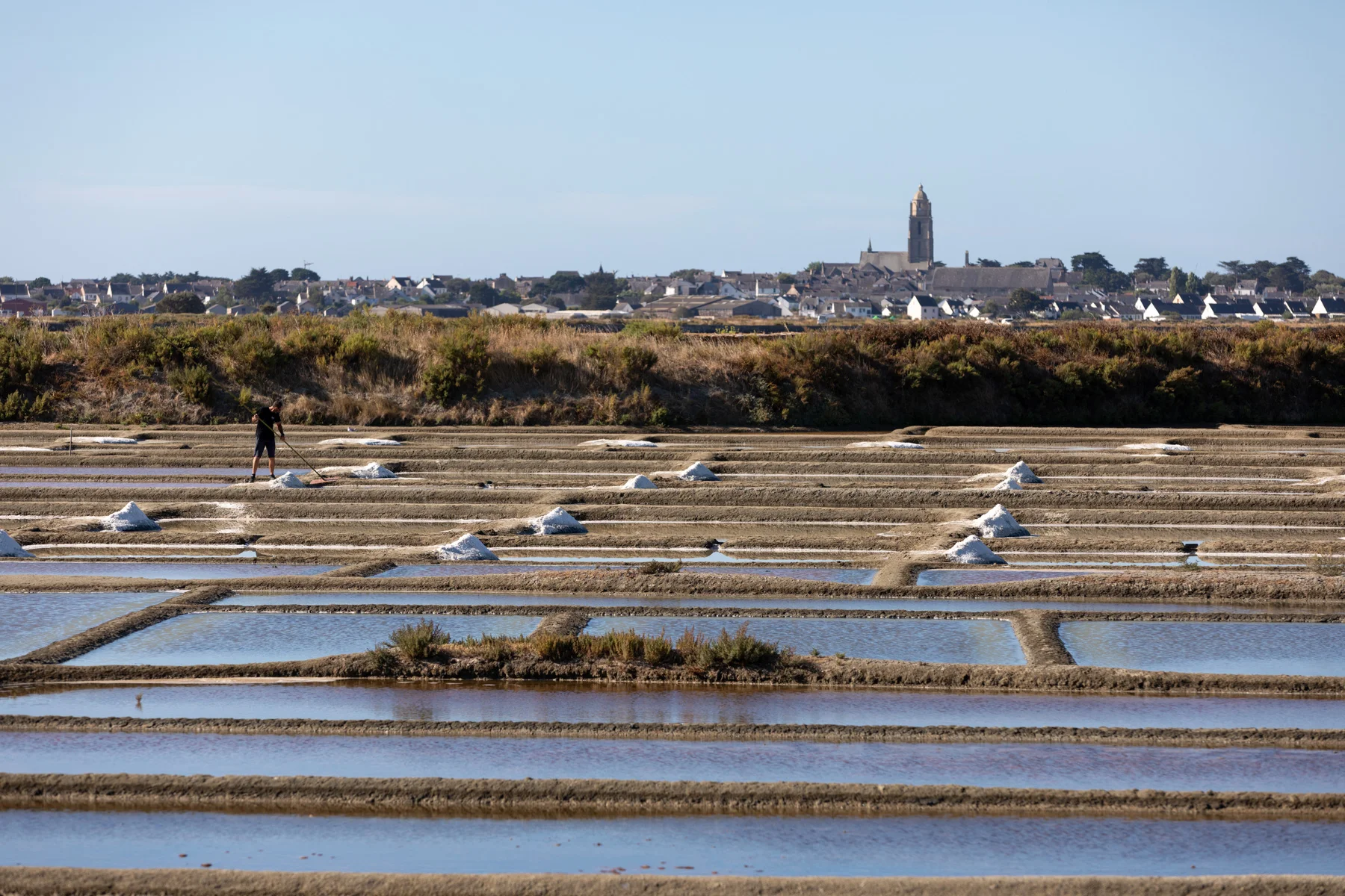 La récolte du sel de Guérande Tradysel à Batz-sur-mer