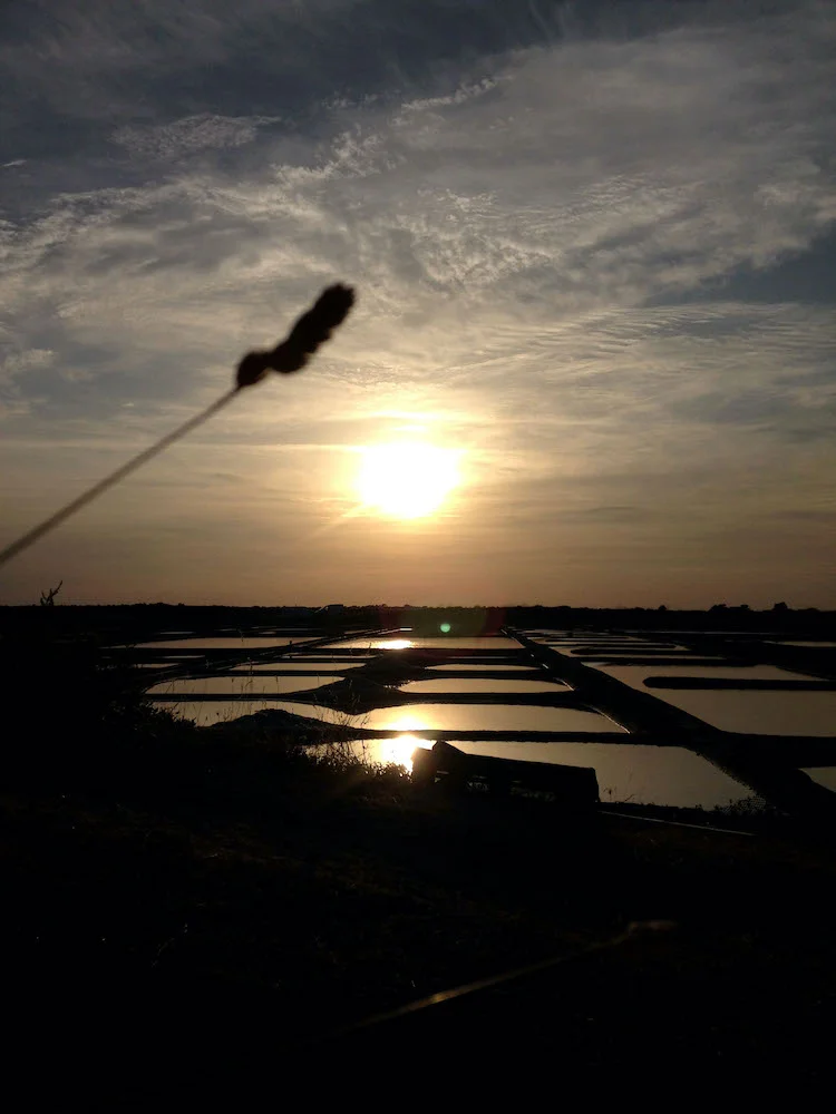 The history of the Guérande salt marshes