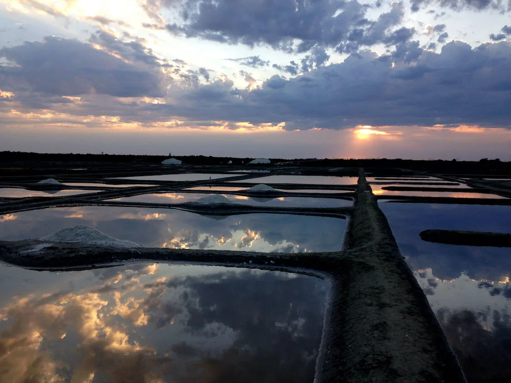 Tradysel's quality approach - The preservation of salt marshes