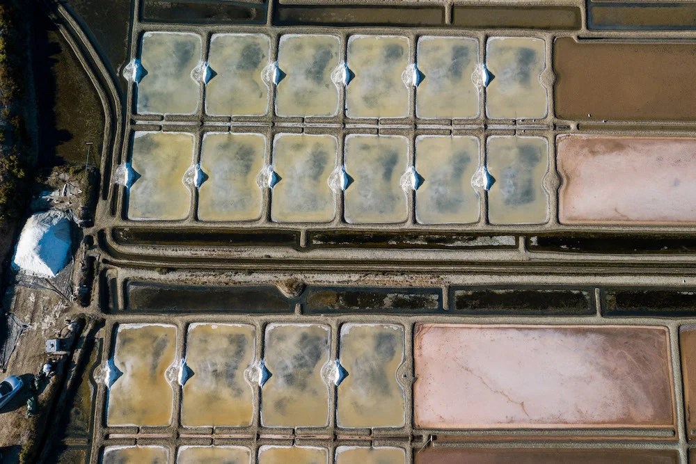How the salt marshes work How the salt marshes work