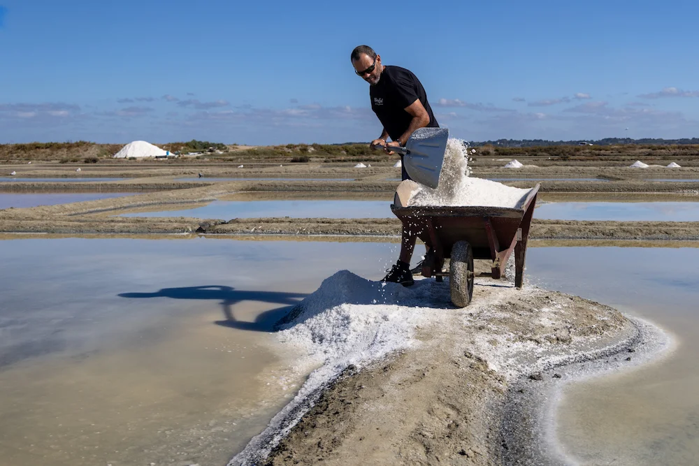 La récolte du sel - Le savoir-faire de Tradysel