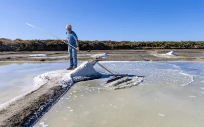 Sel marin : un produit naturel d’exception, au cœur du savoir-faire de Guérande