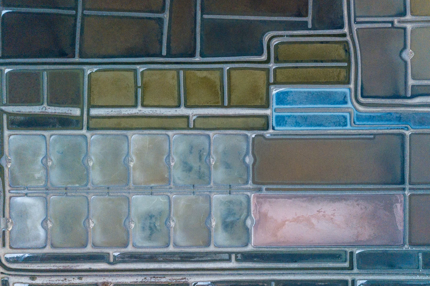 Tradysel_les_marais_salants