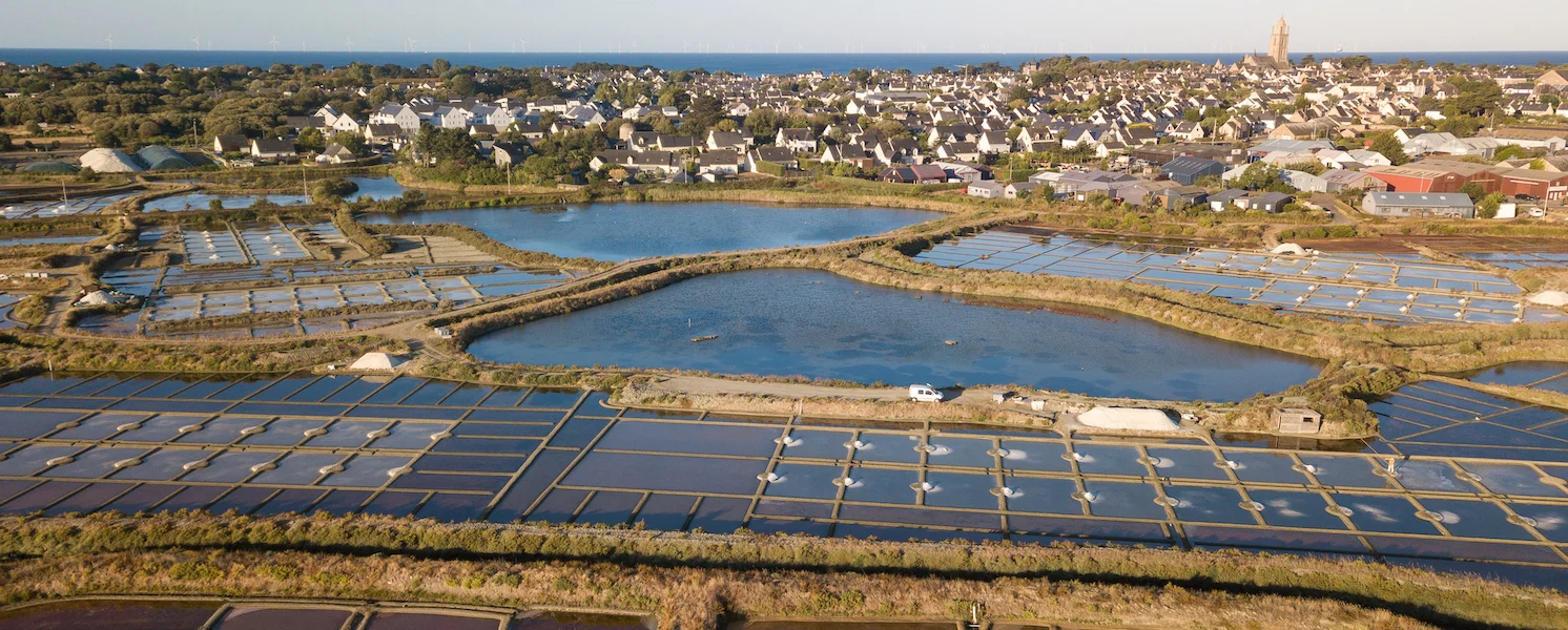 Tradysel_sel_de_guerande