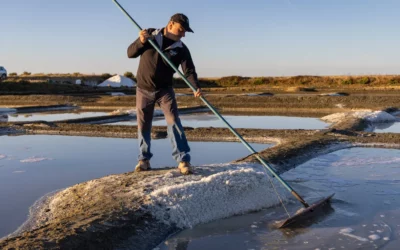 La récolte du sel de Guérande
