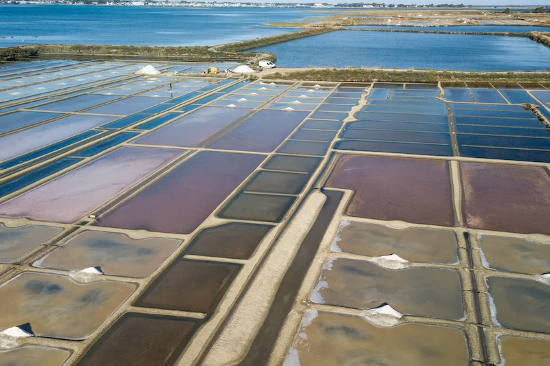 Vue aérienne des marais salants TRADYSEL. Producteurs de sel de Guérande.