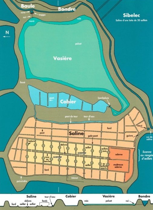 schema-salines-guerande